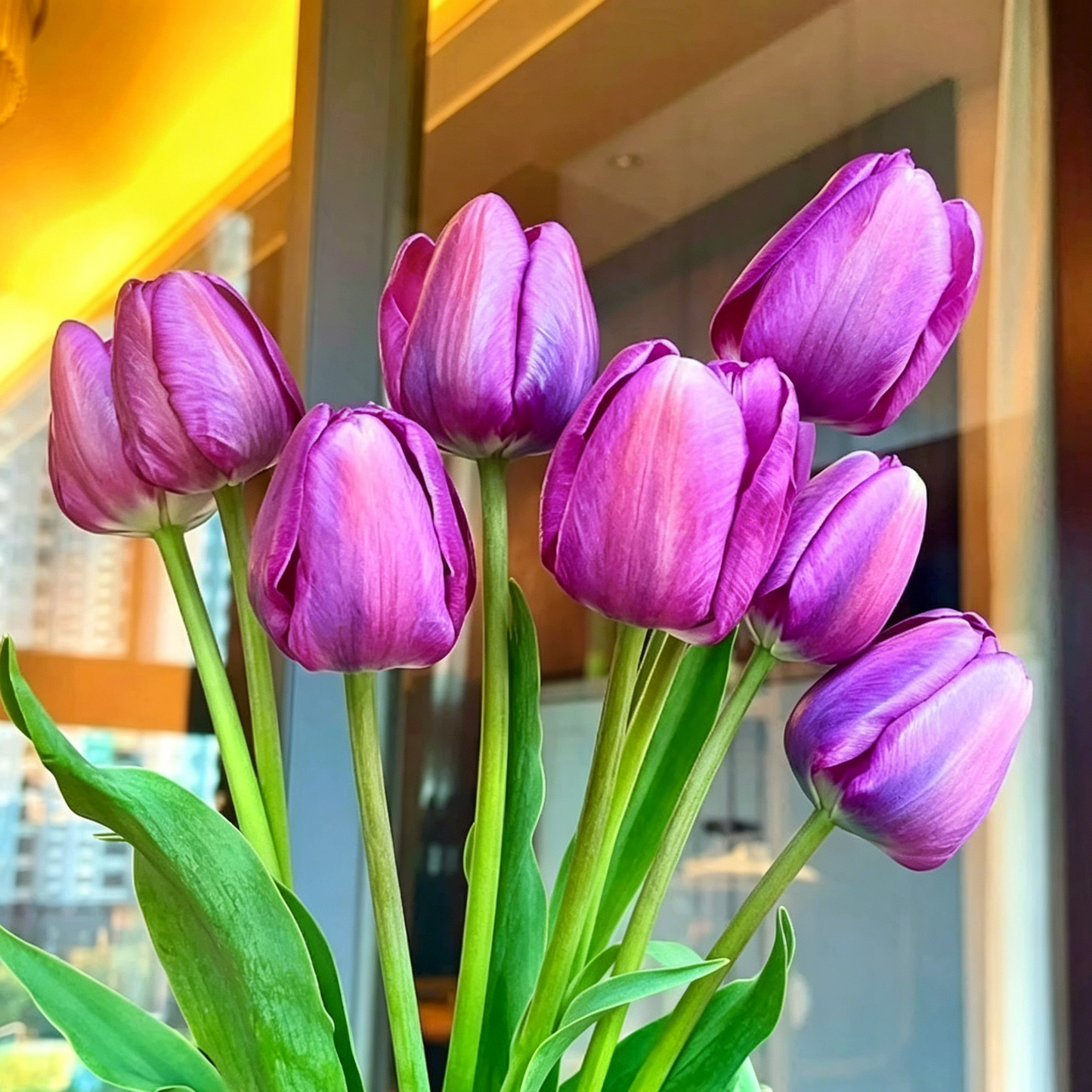🌷Retos tulpių sėklos – spalvingi pavasario žiedai vazonams, apvadams ir sodams-LT