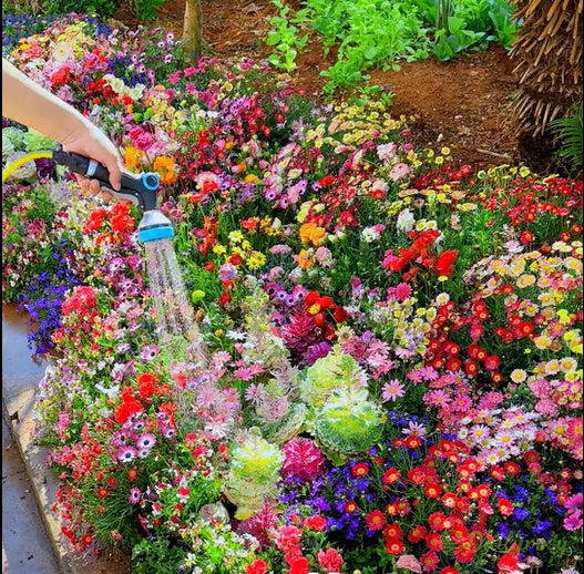 🔥Последен ден на разпродажбата💐Смесени семена за многогодишни цветя - над 60 смесени сорта