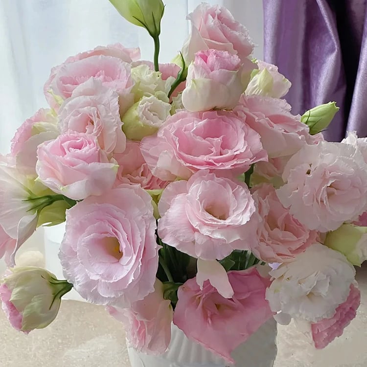 🔥Viimane müügipäev💝Eustoma Thornless Rose💐Lisianthus Seeds-EE