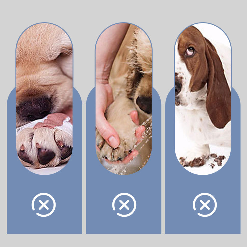 🐶2 чифта водоустойчиви чорапи за кучета с неплъзгащи се елементи