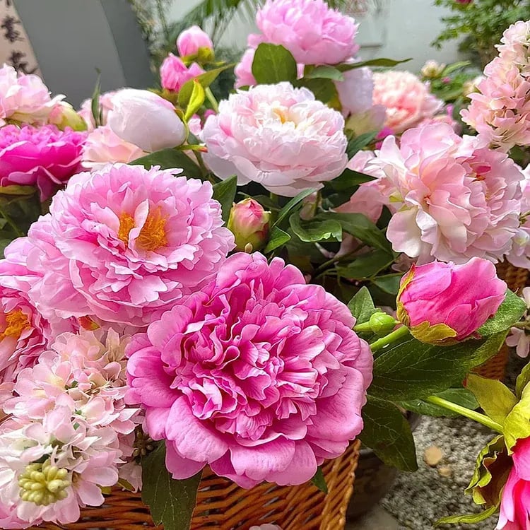 🔥ÚLTIMO DÍA 45% DE DESCUENTO🌺REINA DE LAS FLORES - DOBLE ESPUMA-ES
