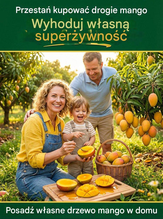 [Výsledky za 1-2 roky] Vrúbľované sadenice manga bez GMO-SK