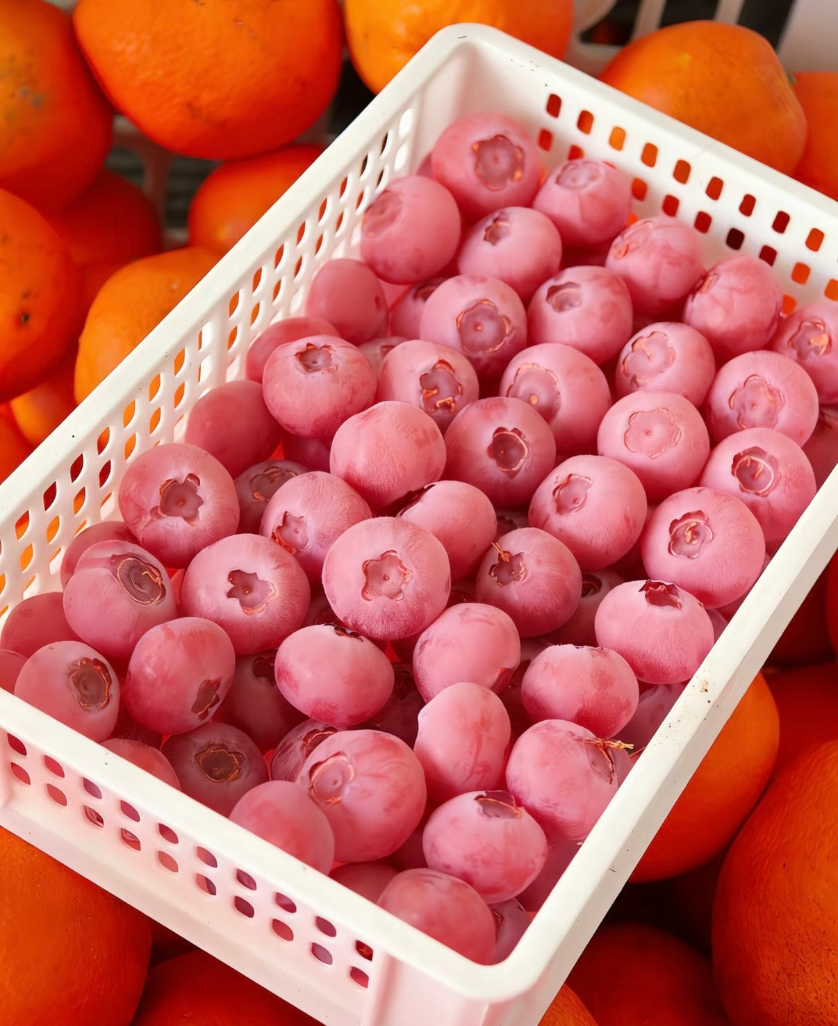 Σπόροι Pink Bliss Blueberry – Διπλή Γλυκύτητα--GR