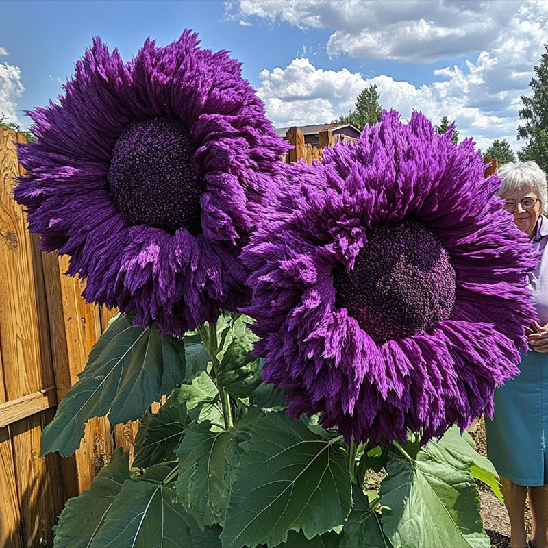 🌻 Очарователно гигантско плюшено мече Слънчоглед 🔆