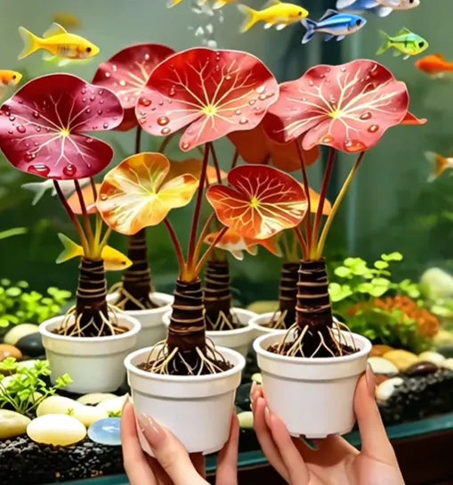 🐟Hydroponické korene červeného lotosu🌿 Premeňte svoje akvárium na živú záhradu-SK
