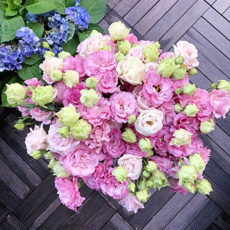 🔥Viimane müügipäev💝Eustoma Thornless Rose💐Lisianthus Seeds-EE