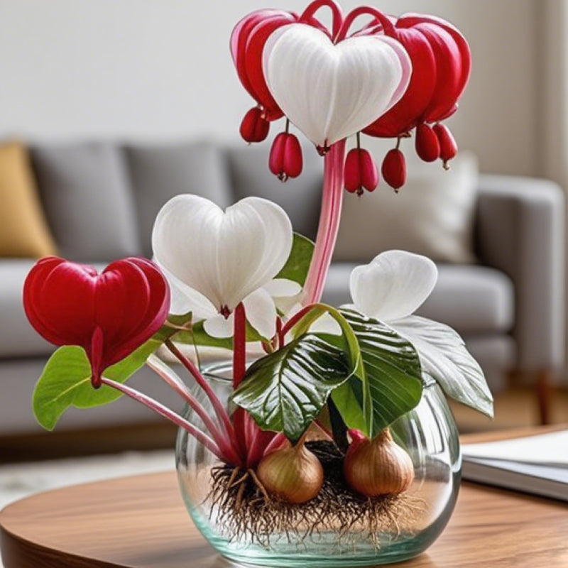 💕 Spełnij swoje życzenia: Cebulki Życzeń – Kwitnący cud dla każdego domu🌷