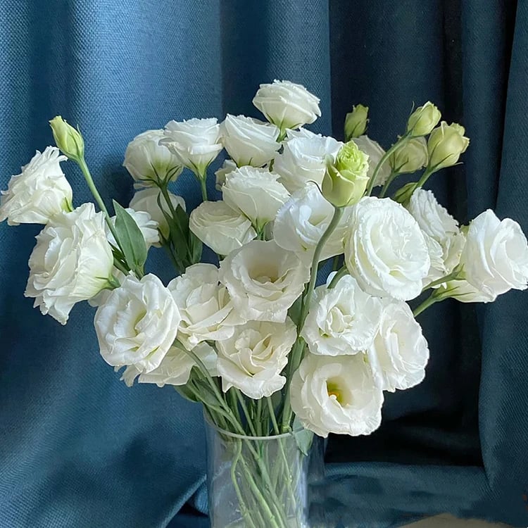 🔥Viimane müügipäev💝Eustoma Thornless Rose💐Lisianthus Seeds-EE