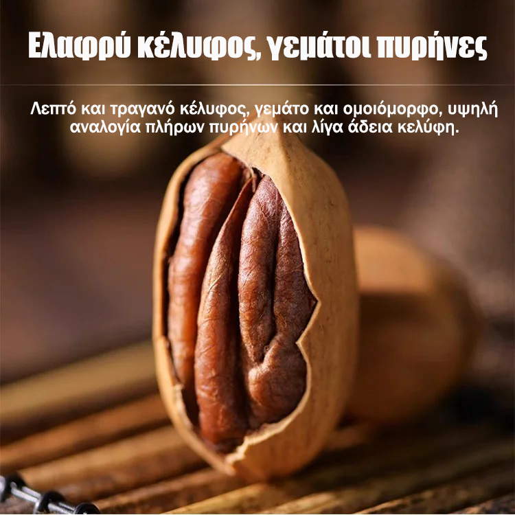 Σπορόφυτα πεκάν εισαγόμενα από την Αμερική-GR