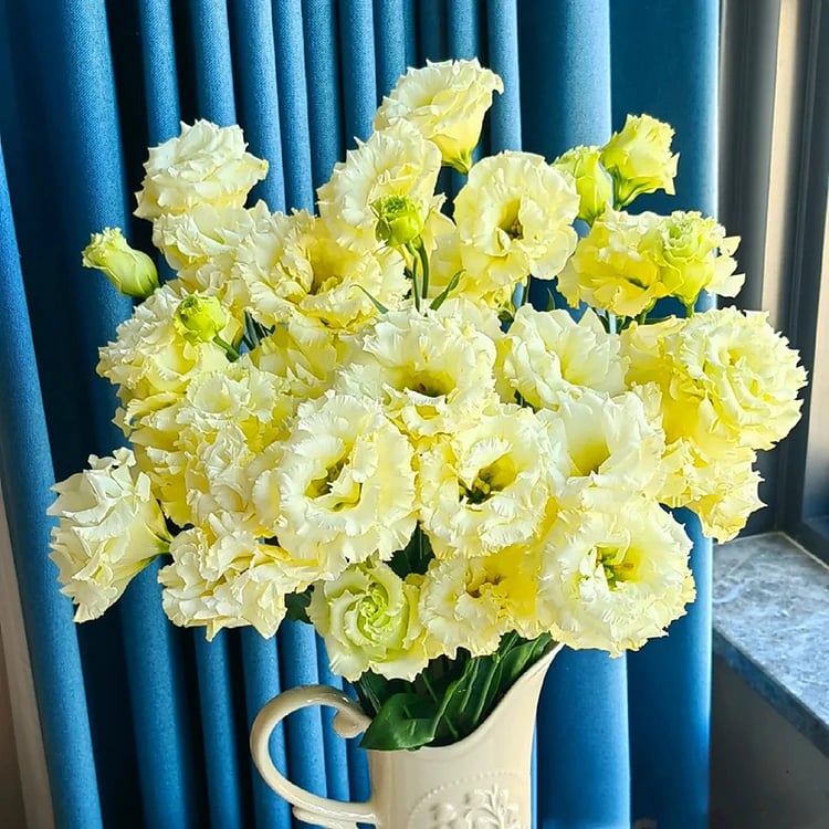 🔥Viimane müügipäev💝Eustoma Thornless Rose💐Lisianthus Seeds-EE