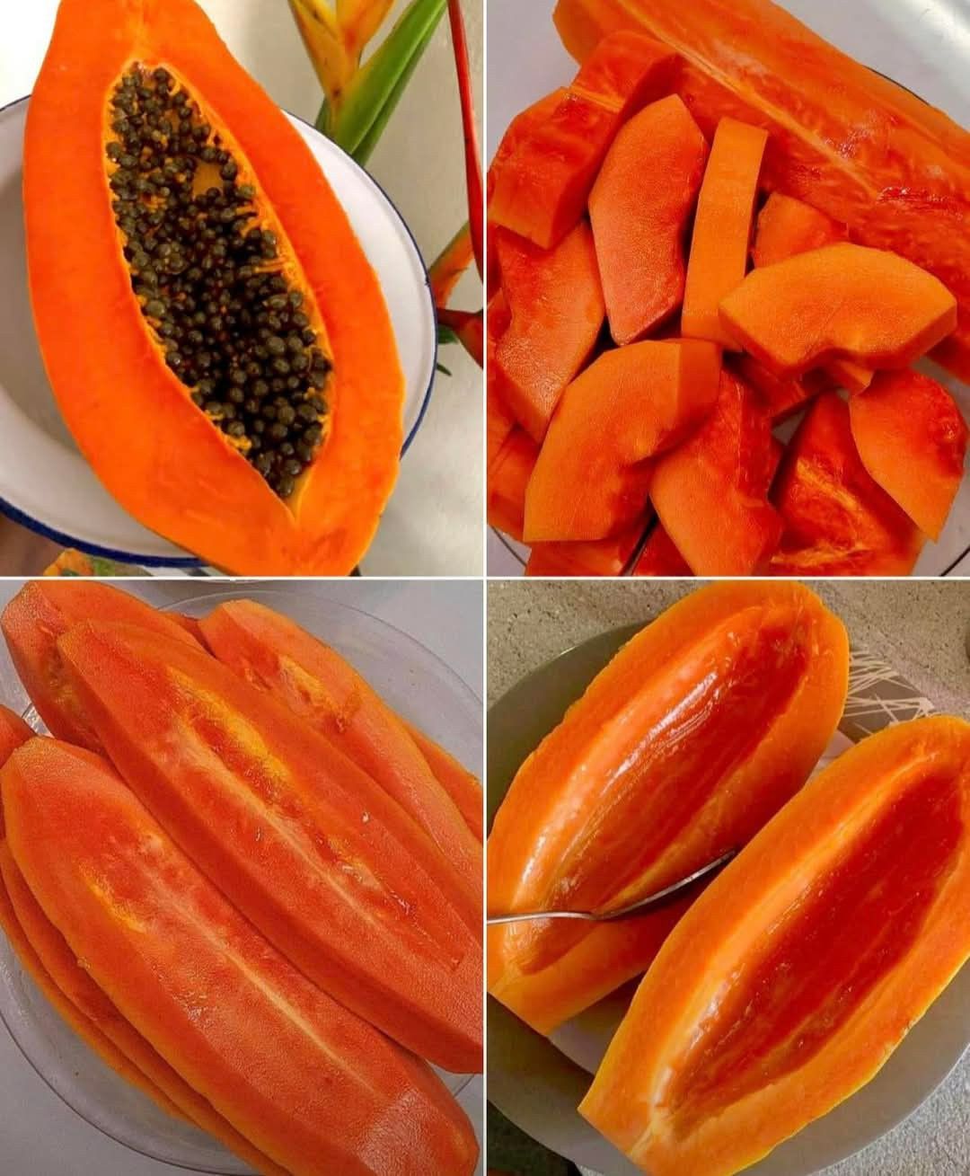 🥭 Redka papaja z zmajevim krempljem – nahrani telo, ohranja vsakodnevno dobro počutje