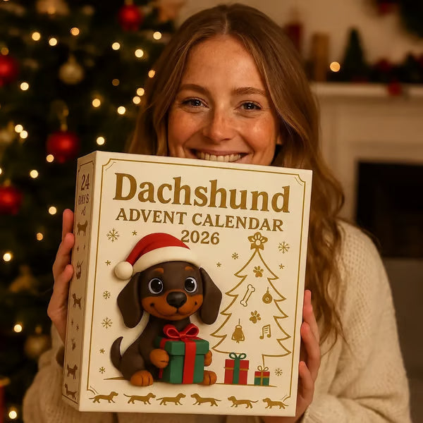 🎄🐾 Taksų Advento kalendorius 2026 metams 🐶✨-LT
