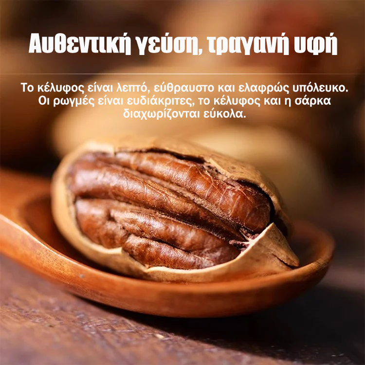 Σπορόφυτα πεκάν εισαγόμενα από την Αμερική-GR