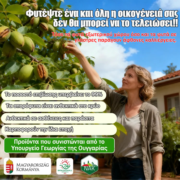 Σπορόφυτα πεκάν εισαγόμενα από την Αμερική-GR