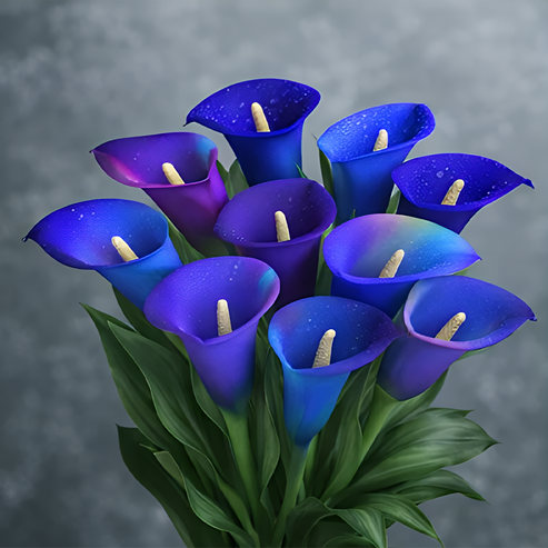 🌷Мистериозната кала Аврора