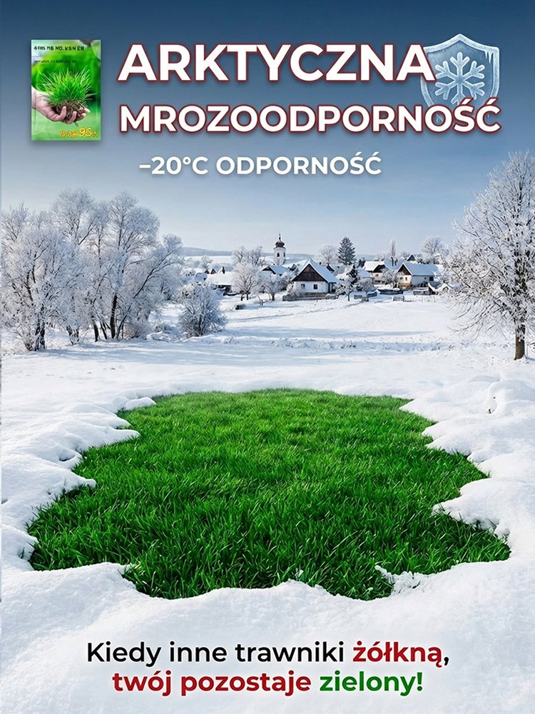 【Kiełkowalność 99%】Całoroczne mrozoodporne nasiona trawy na trawnik