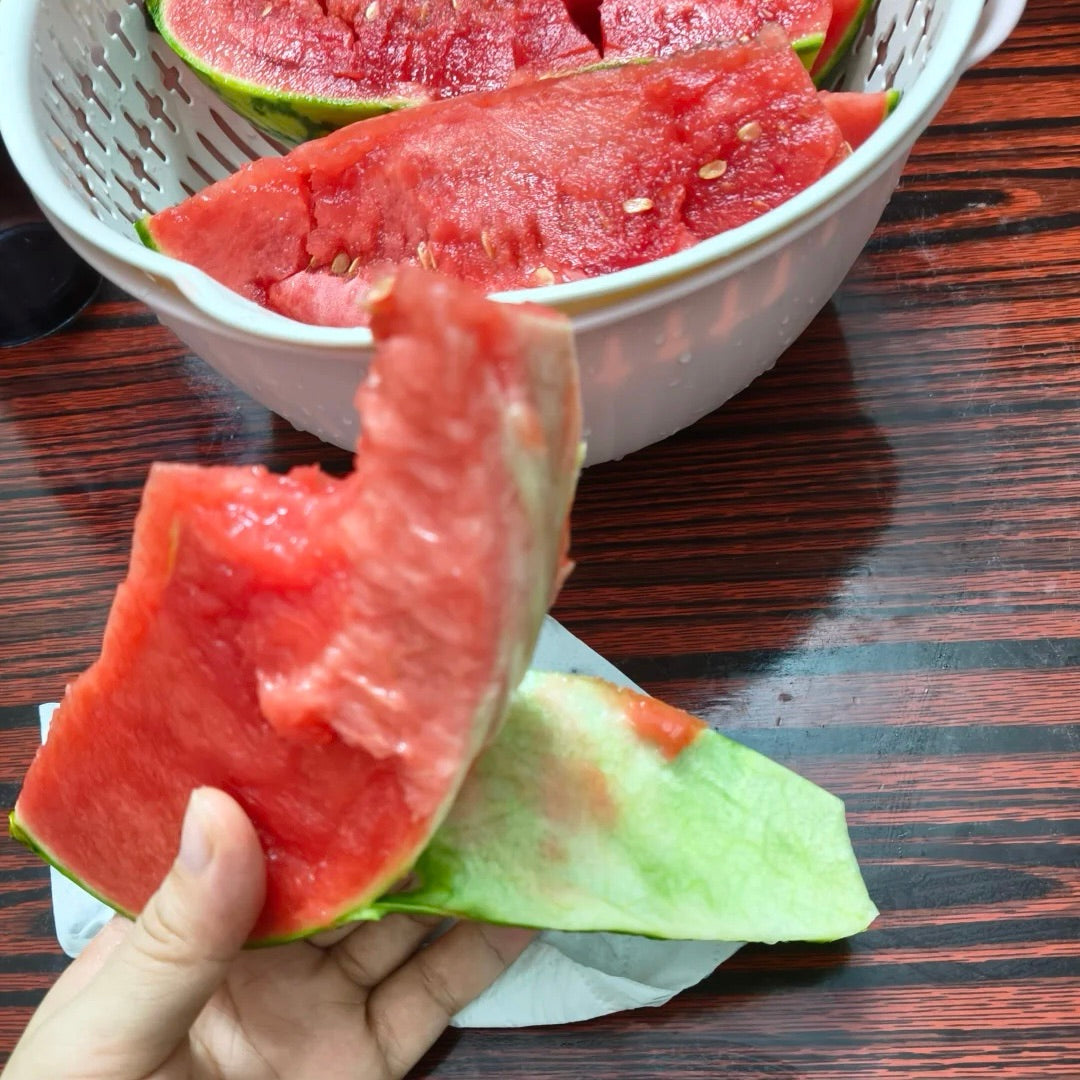 Тънкокорени семена от диня 🍉