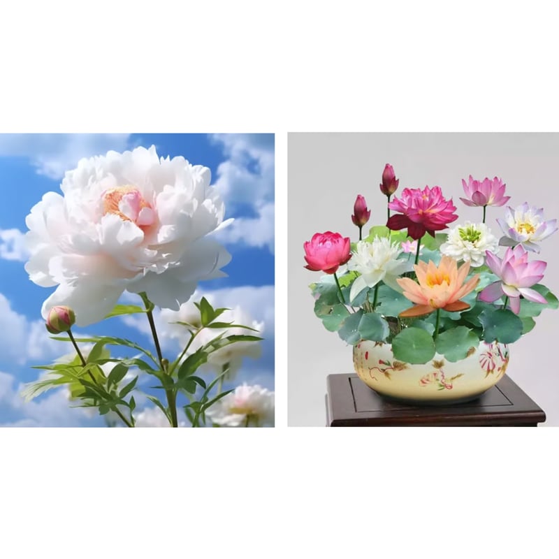 🔥ÚLTIMO DÍA 45% DE DESCUENTO🌺REINA DE LAS FLORES - DOBLE ESPUMA-ES