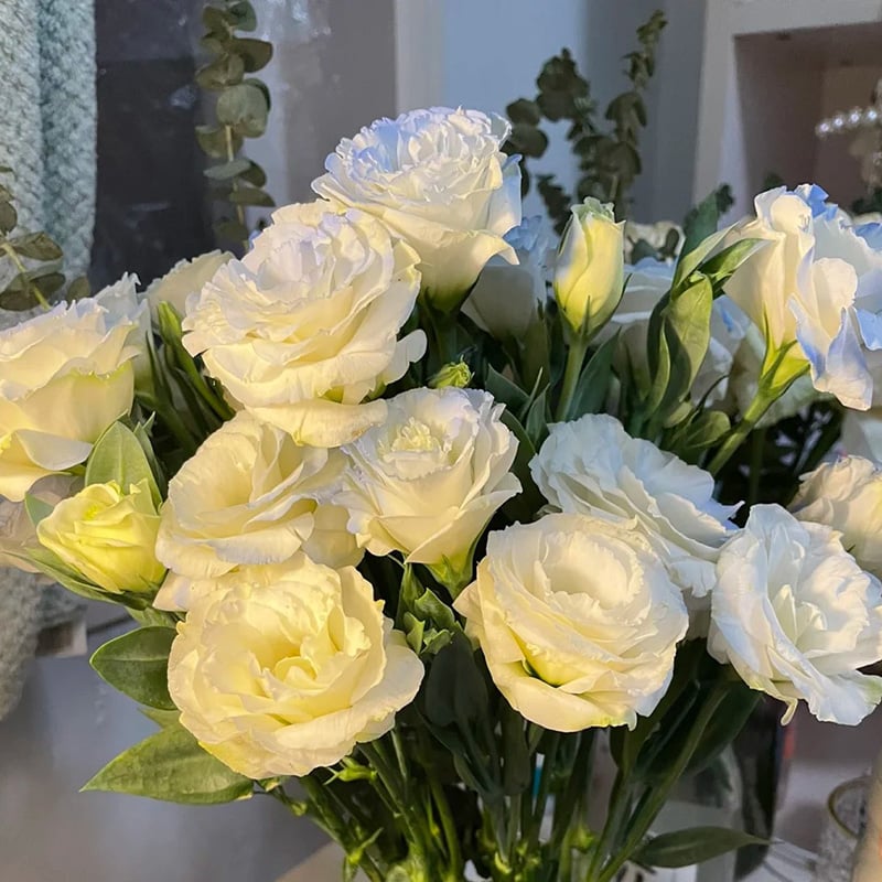 🔥Viimane müügipäev💝Eustoma Thornless Rose💐Lisianthus Seeds-EE