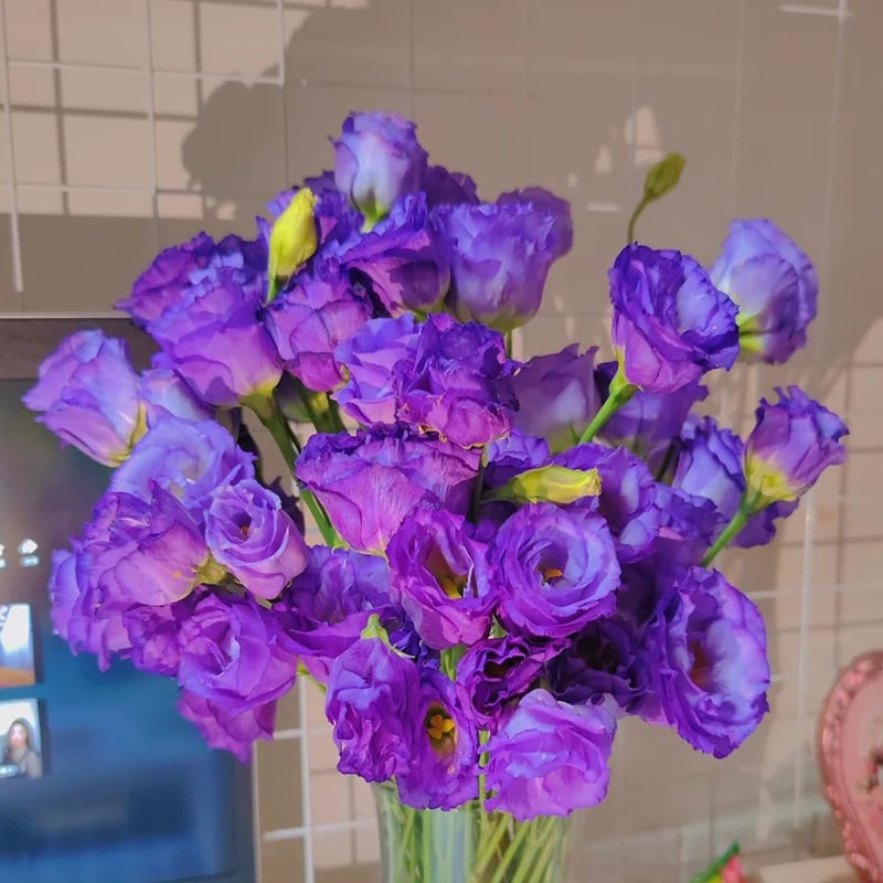 🔥Viimane müügipäev💝Eustoma Thornless Rose💐Lisianthus Seeds-EE