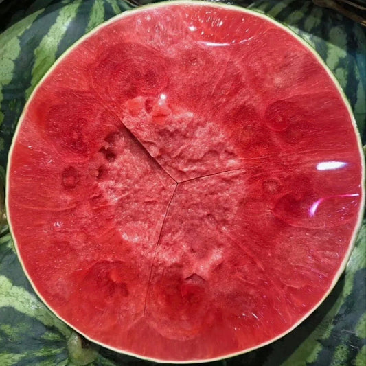 Tanko lupinasta semena lubenice 🍉-SI