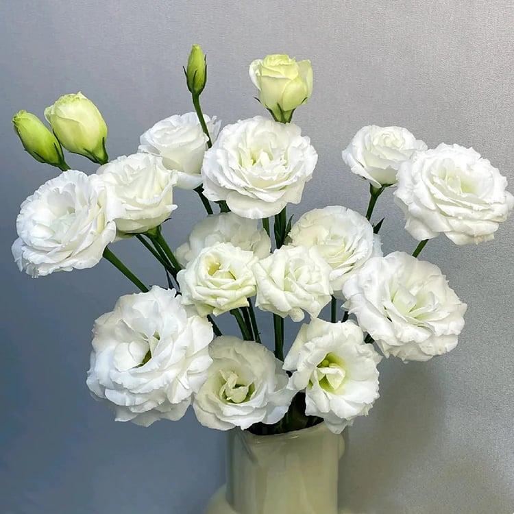 🔥Viimane müügipäev💝Eustoma Thornless Rose💐Lisianthus Seeds-EE