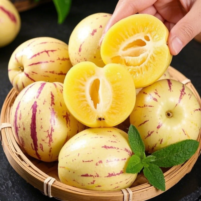 Ženšenni vili Pepino meloniseemned-Solanum Muricatum-EE