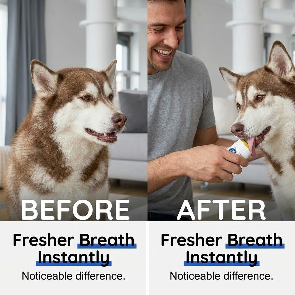 Último día con 50% de descuento 🔥 Gel dental sin cepillado para perros-ES