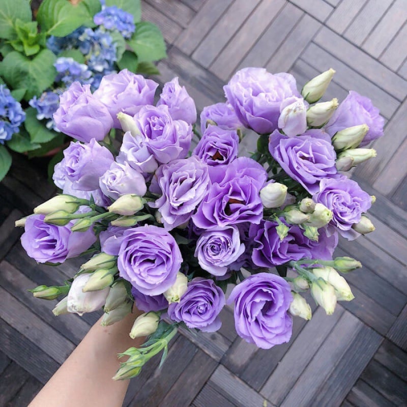🔥Viimane müügipäev💝Eustoma Thornless Rose💐Lisianthus Seeds-EE
