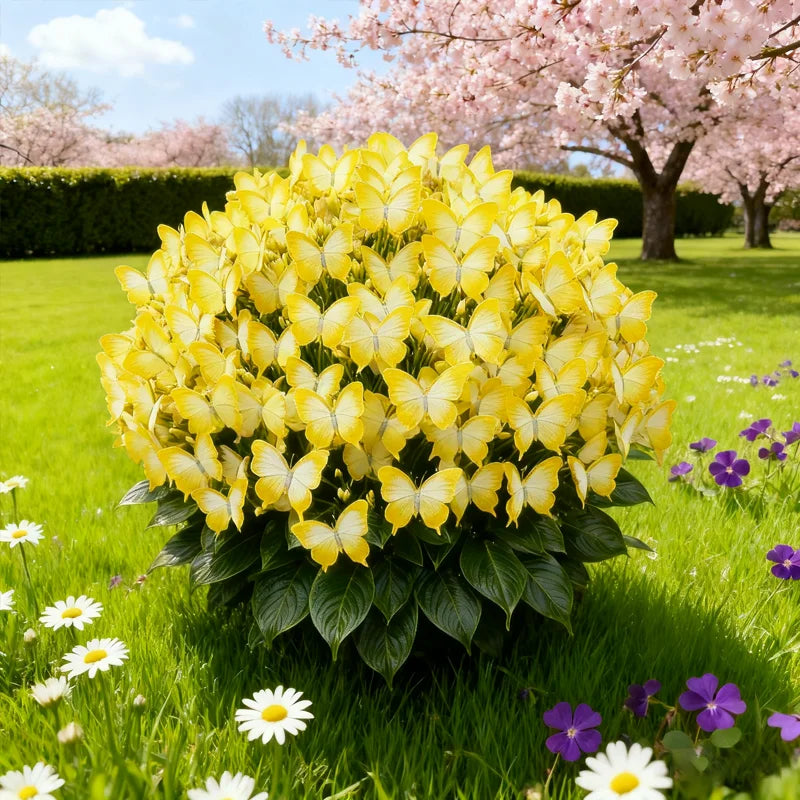 🦋🌈 Луковици с пеперуди – експлозия от цвят във всяко венчелистче! 🌸