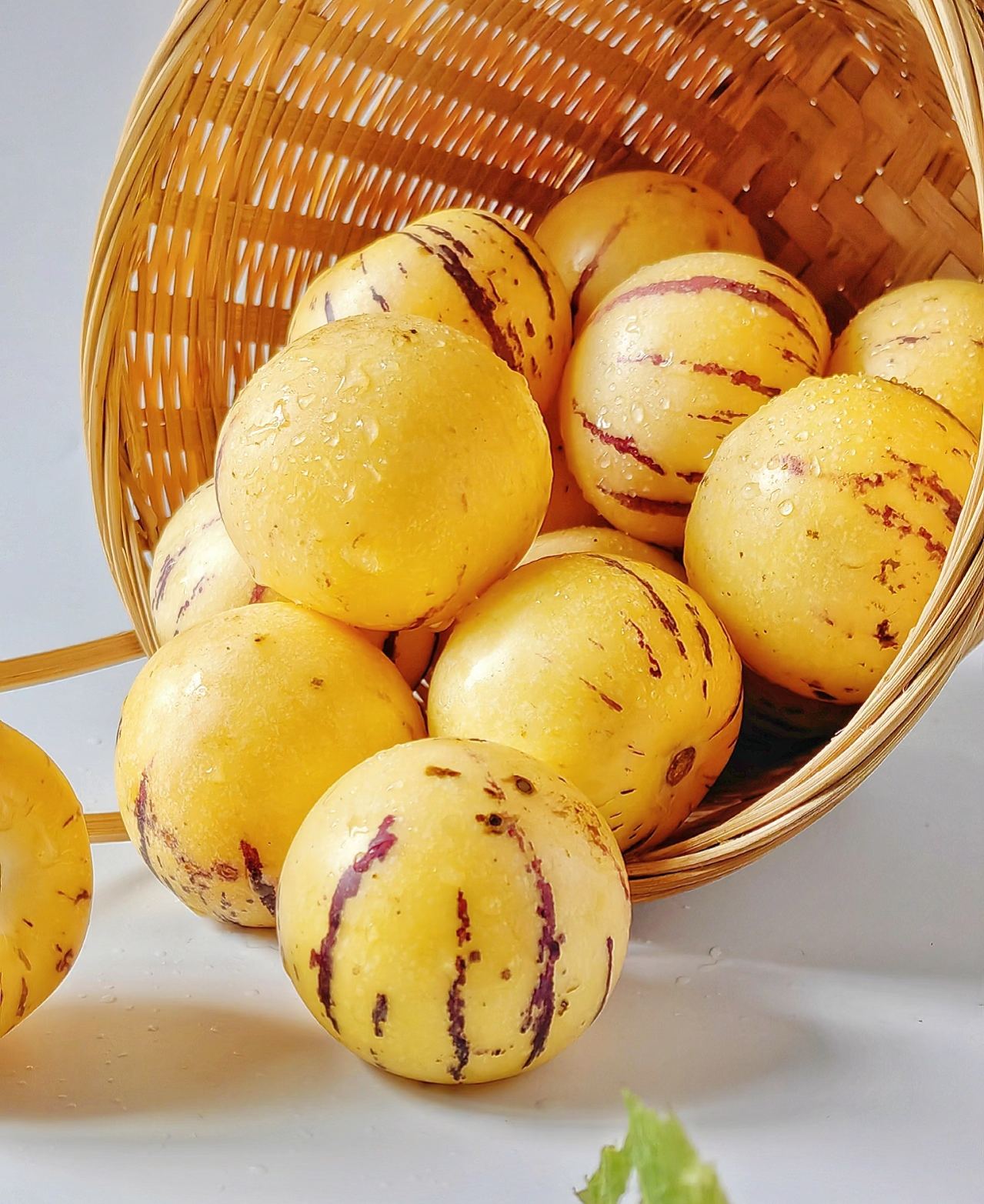 🏆 Prodanih več kot 75.000 paketov! 🌿Semena ginsenga - enostavna za gojenje🌱 (Omejen čas: brez gnojil)-SI