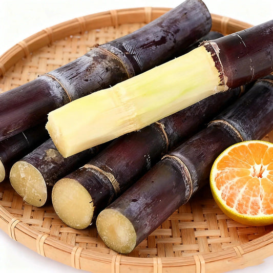 Cukranendrių sėklų kolekcija – violetinės ir geltonos cukranendrių sėklos, tinkamos auginti namuose-LT
