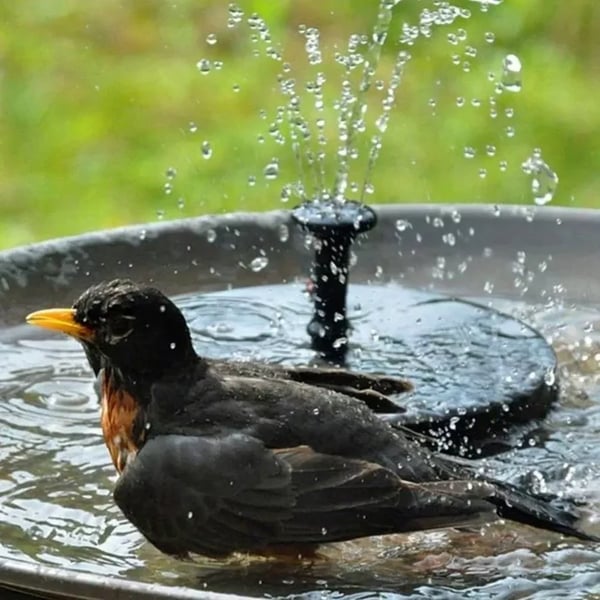 ☀ПОСЛЕДЕН ДЕН НА ПРОДАЖБАТА – 🐦️⛲Компактна соларна помпа за фонтан с птици – поддържайте градината си жива!