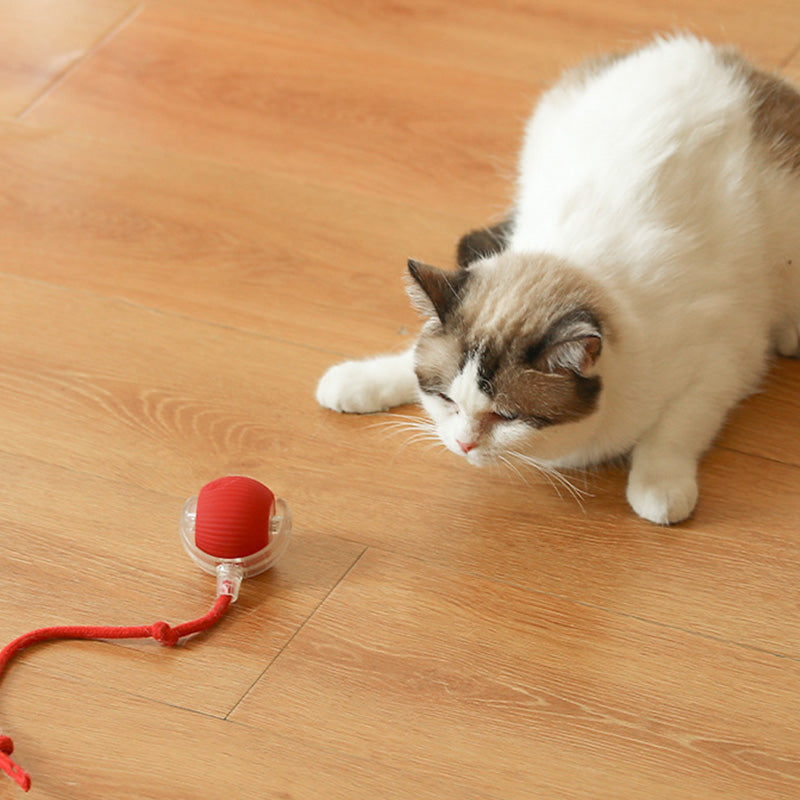 🐱 Keeping your pet active 🐶 Smart Automatic Rolling Pet Ball