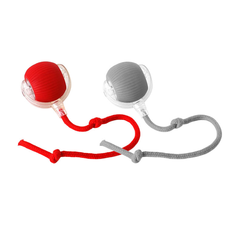 🐱 Keeping your pet active 🐶 Smart Automatic Rolling Pet Ball