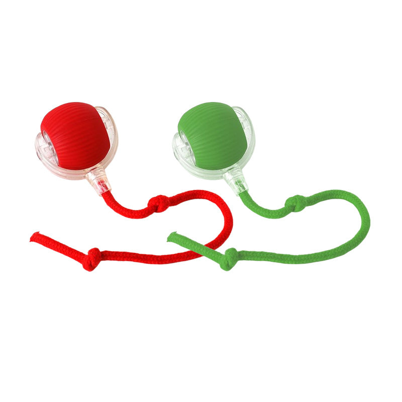 🐱 Keeping your pet active 🐶 Smart Automatic Rolling Pet Ball