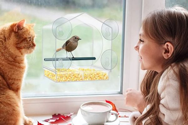 🐦👍👍👍Прозоречна хранилка за птици🤩