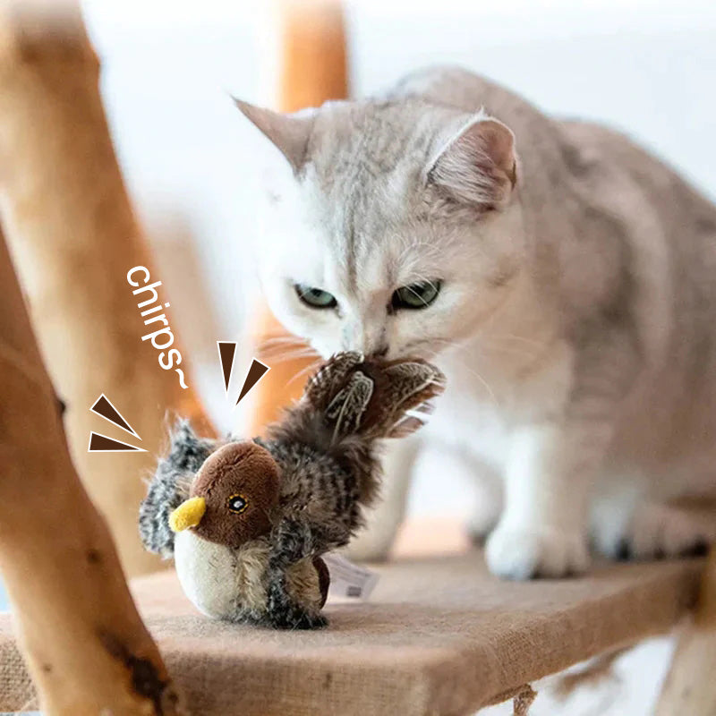 🐱 POSODOBLJENA IGRAČA ZA MAČKE – PTICA, KI ŽVRGOLI🐦