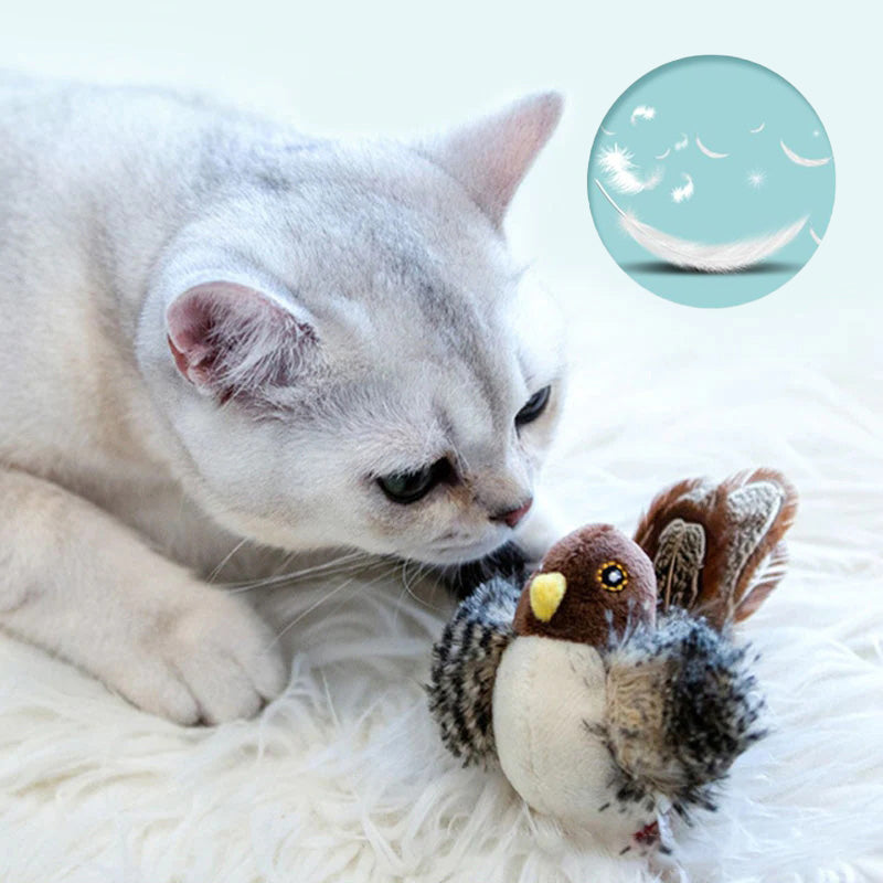 🐱 POSODOBLJENA IGRAČA ZA MAČKE – PTICA, KI ŽVRGOLI🐦