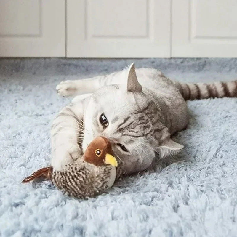 🐱 POSODOBLJENA IGRAČA ZA MAČKE – PTICA, KI ŽVRGOLI🐦