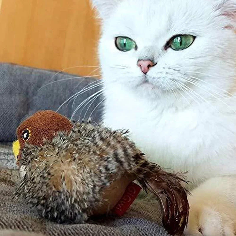🐱 POSODOBLJENA IGRAČA ZA MAČKE – PTICA, KI ŽVRGOLI🐦