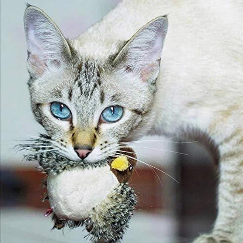 🐱 POSODOBLJENA IGRAČA ZA MAČKE – PTICA, KI ŽVRGOLI🐦