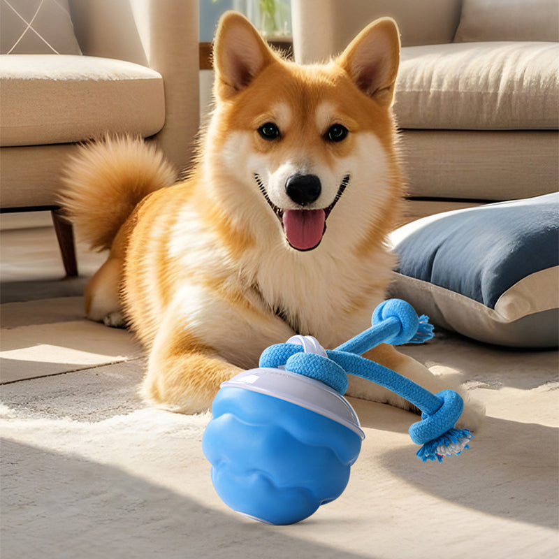 🐶Interaktivna elektronska pomirjujoča žoga za hišne ljubljenčke