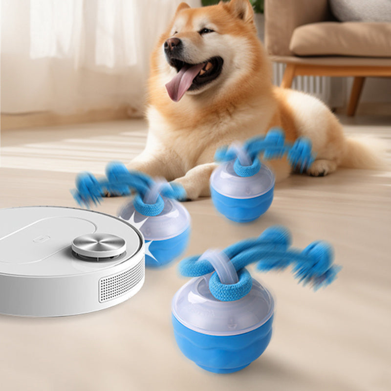 🐶Interaktivna elektronska pomirjujoča žoga za hišne ljubljenčke