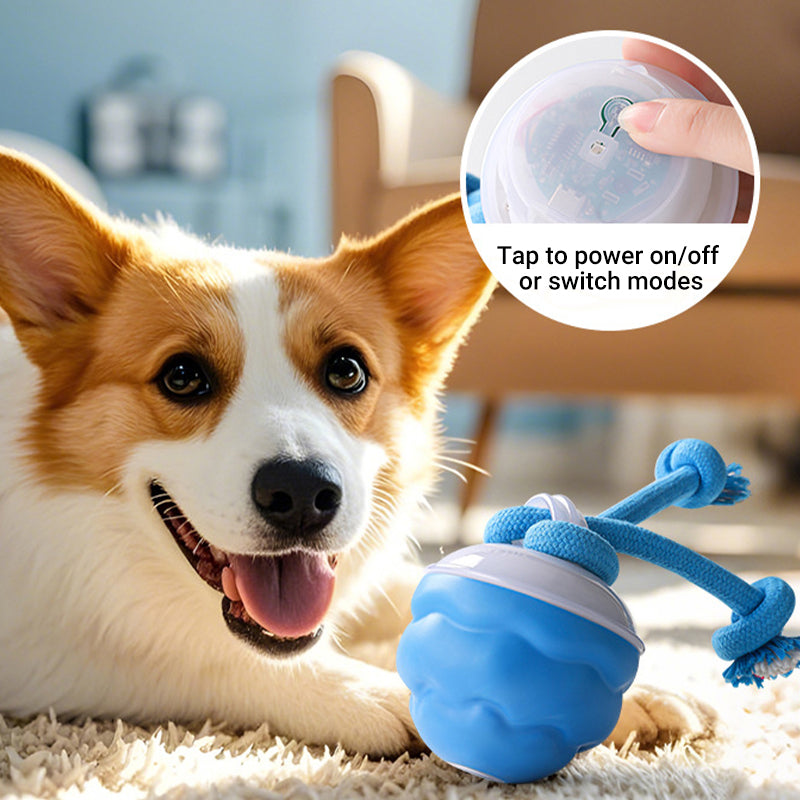 🐶Interaktivna elektronska pomirjujoča žoga za hišne ljubljenčke