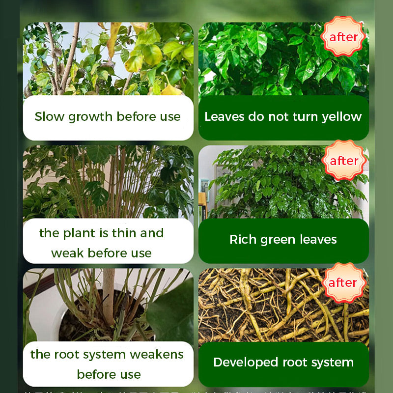 🌱Прах за ускоряване на цъфтежа | Бърз растеж на корените + по-големи цветове!🌸