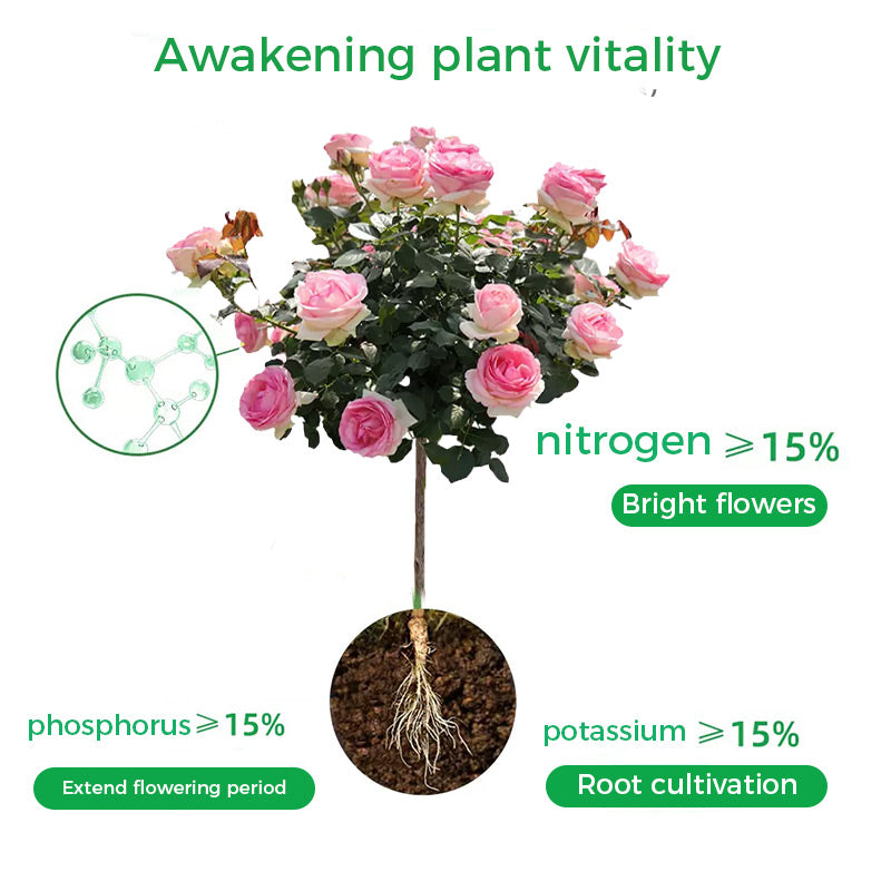 🌱Прах за ускоряване на цъфтежа | Бърз растеж на корените + по-големи цветове!🌸