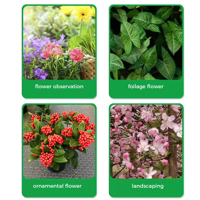 🌱Прах за ускоряване на цъфтежа | Бърз растеж на корените + по-големи цветове!🌸